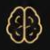 Brain
