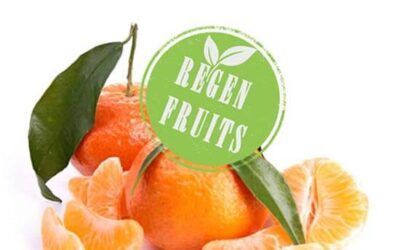 ¿Qué son los REGEN FRUITS?